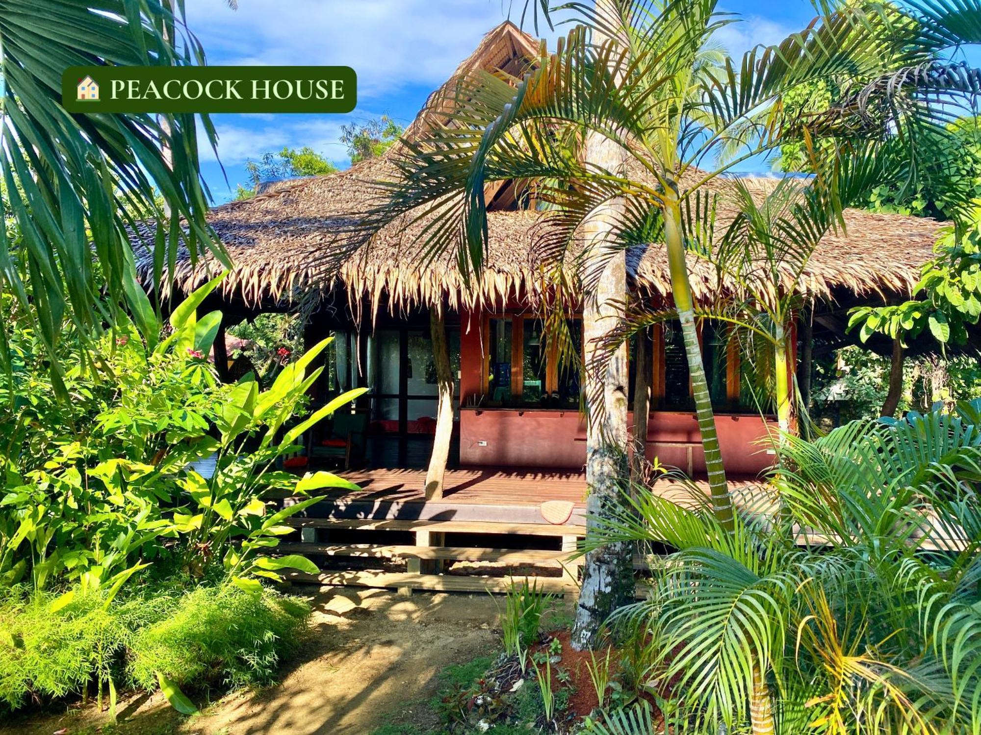 Emerald House Village ゼネラル・ルナ 部屋 写真